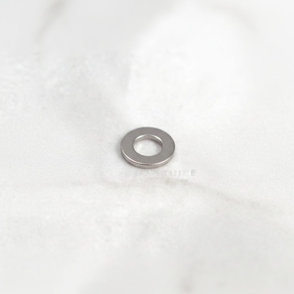 (446) WASHER-FLAT #8 SS