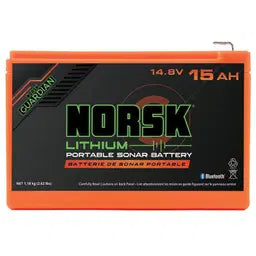 Lithium Iron Phosphate (LiFePo4) 12.8V Battery