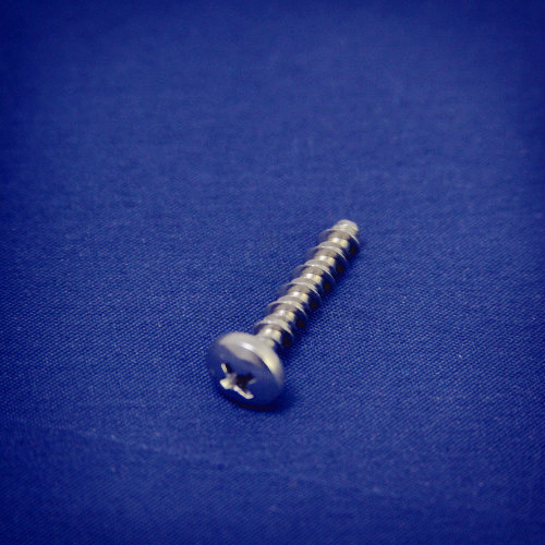 (114) SCREW-#10 X 1.0" PPH HI-LO SS