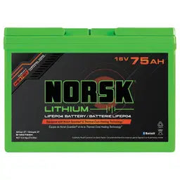 Lithium Iron Phosphate (LiFePo4) 16V MAX RT Battery